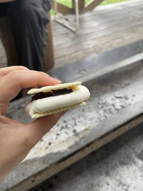 茶臼山高原レイクサイドキャンプ場（旧：木のぼりキャンプ村） photo 5