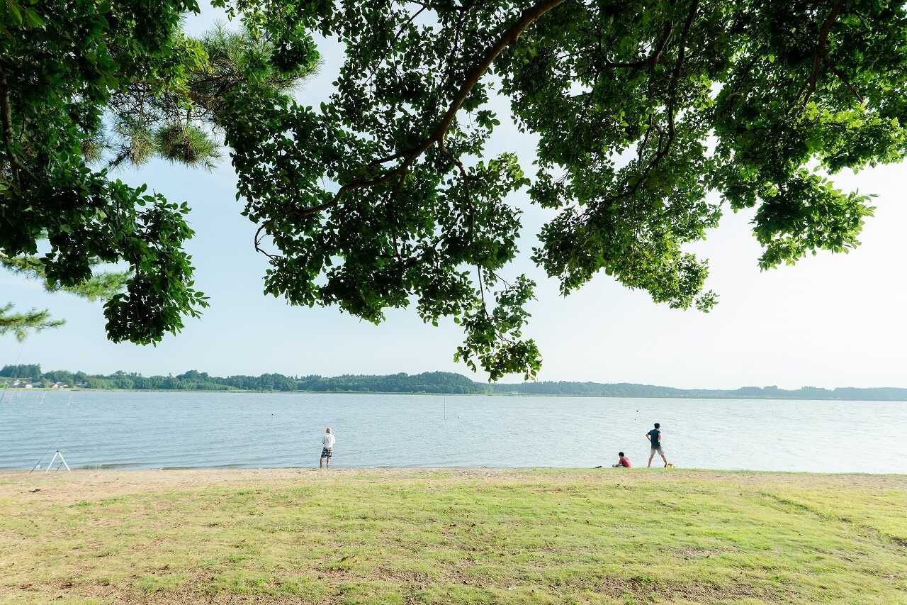 親沢公園キャンプ場
