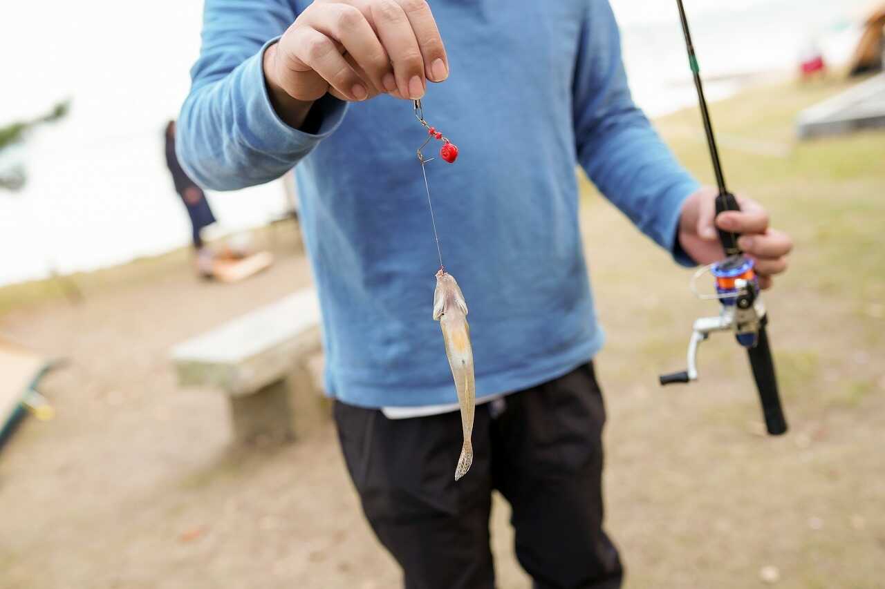 ハゼ釣りの様子