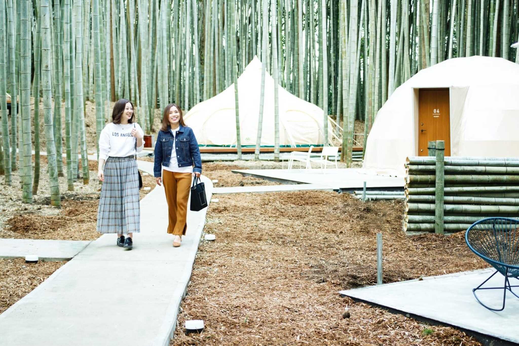 THE BAMBOO FOREST