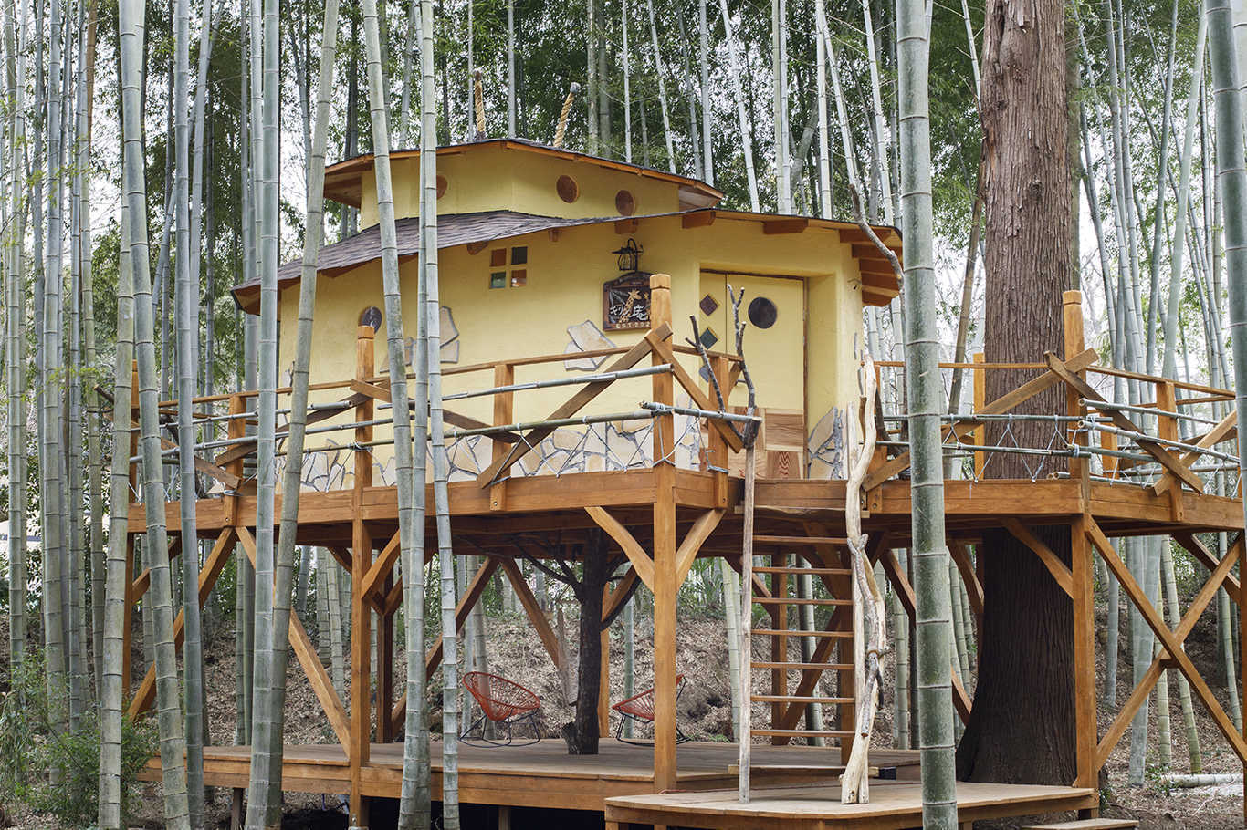 THE BAMBOO FOREST