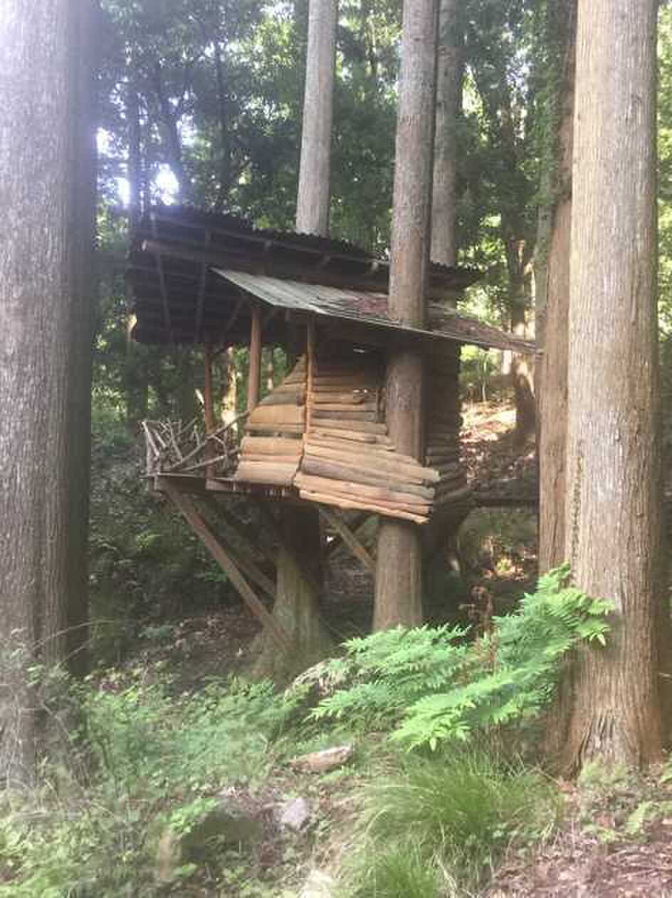 xadventures キャンプ場の写真 2枚目