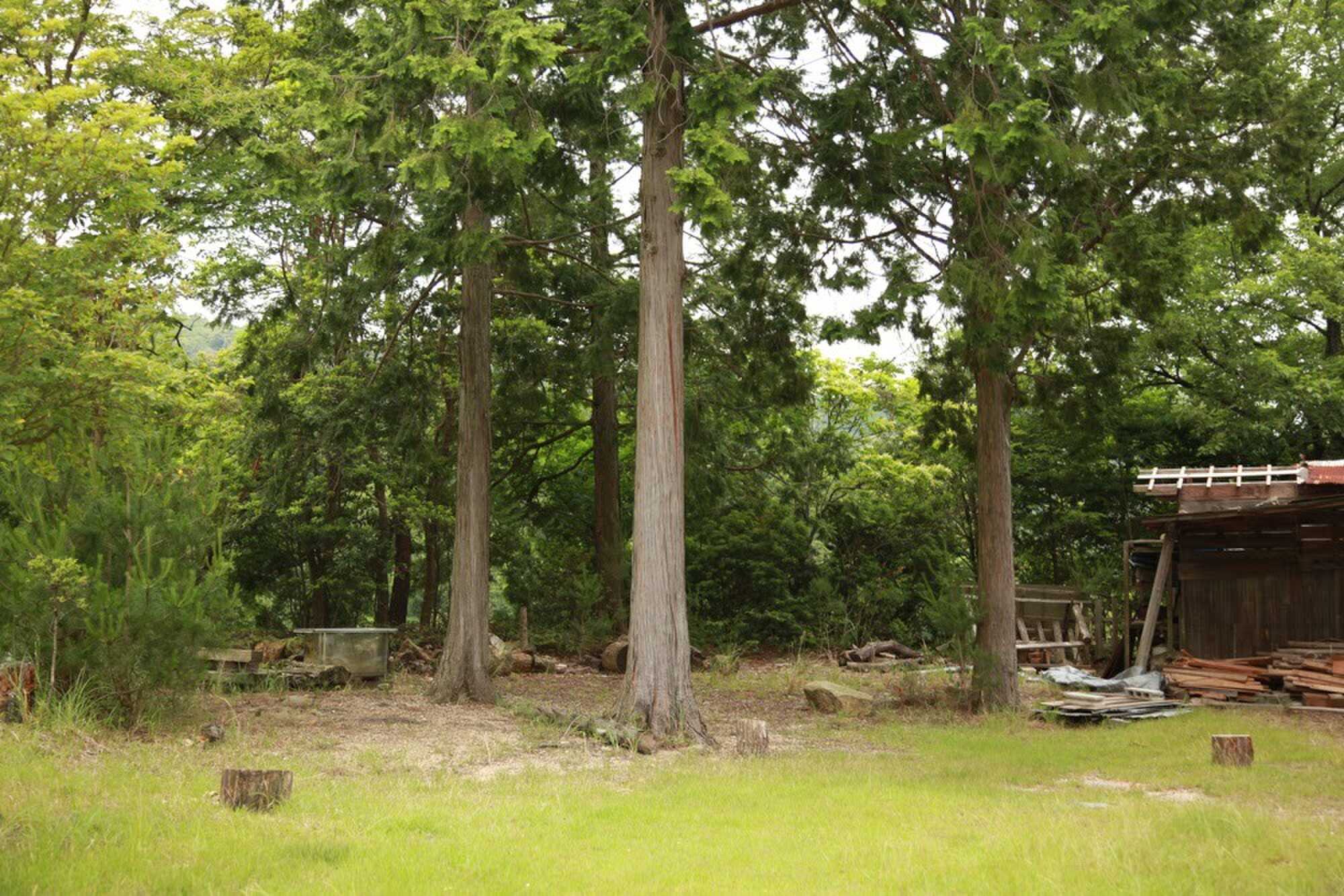 xadventures キャンプ場の写真 4枚目