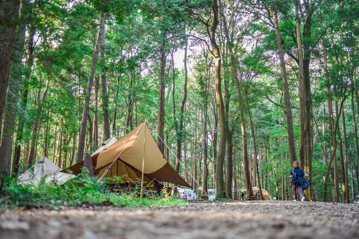 RECAMP しょうなん(手賀の丘公園内)の写真 2枚目