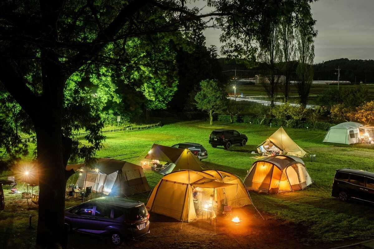 RECAMP しょうなん(手賀の丘公園内)の写真 4枚目