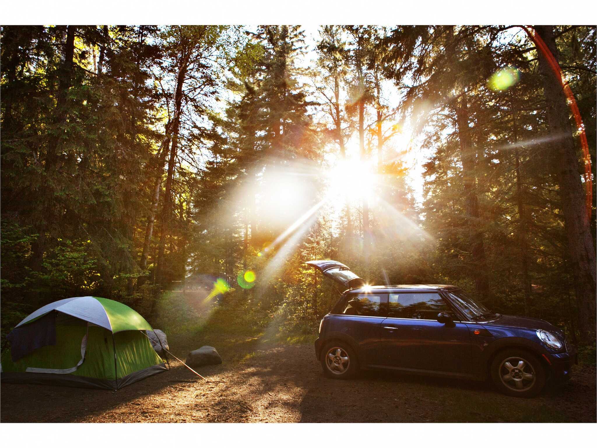 NESTA NATURE CAMP FIELDの写真 5枚目
