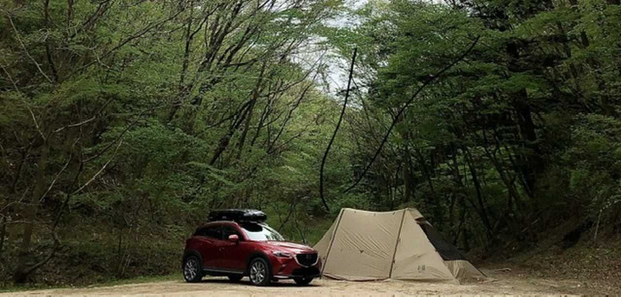 高萩ふれあいの里フィッシングエリア キャンプ場の写真 4枚目