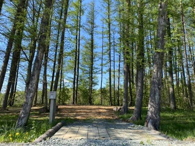 焚き火キャンプ場　士別ペコラ photo 4
