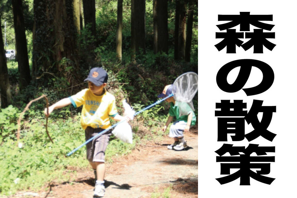 GRACE NISEKO photo 4