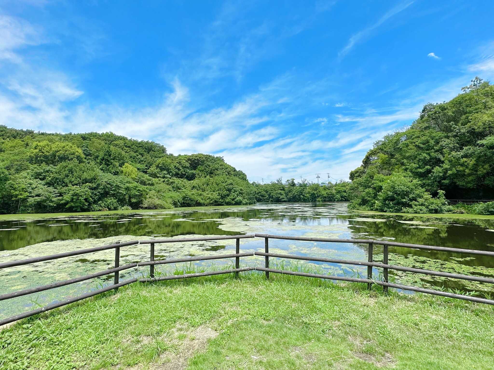 マウントレイクキャンプ場の写真 3枚目