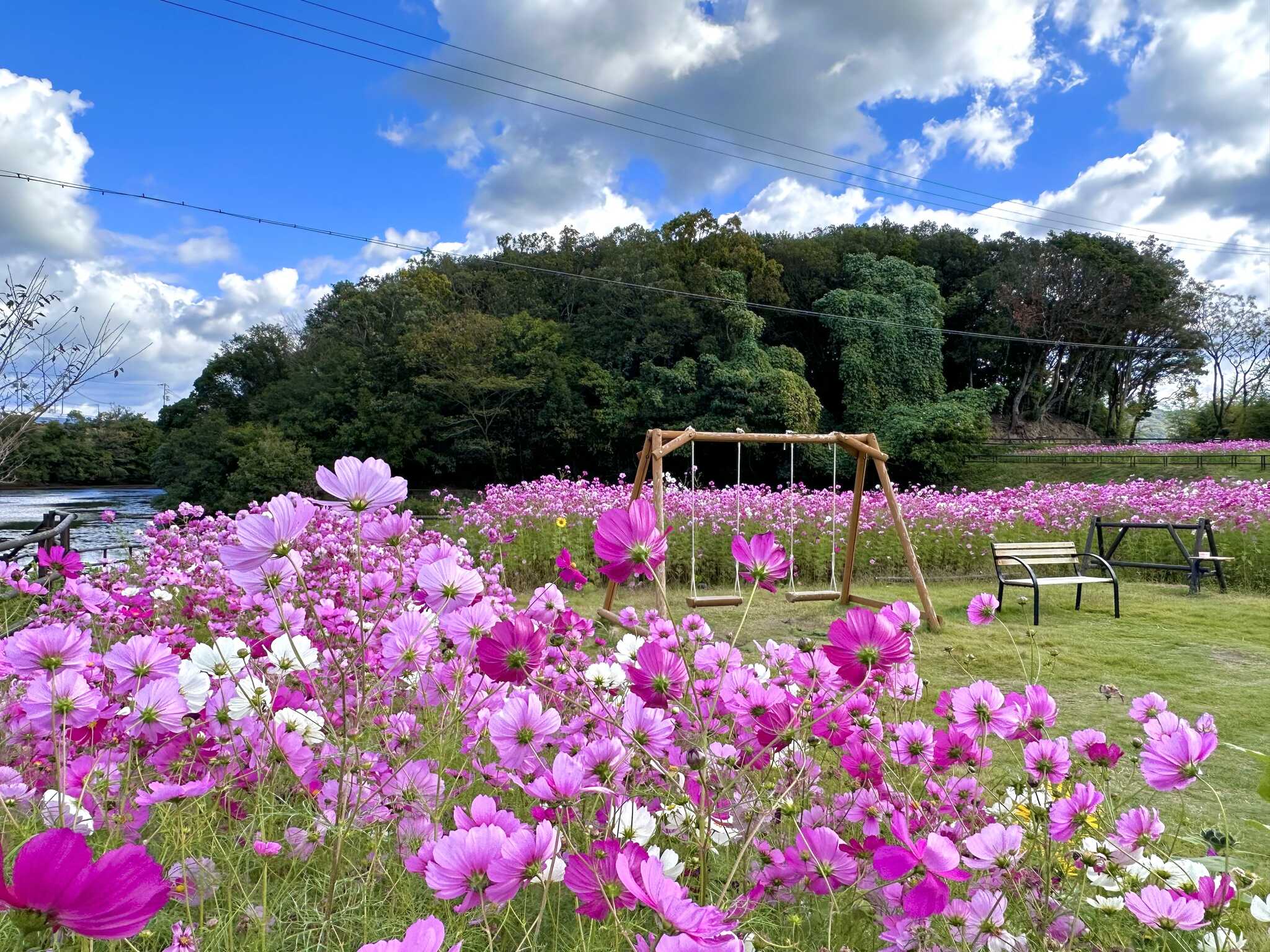 マウントレイクキャンプ場