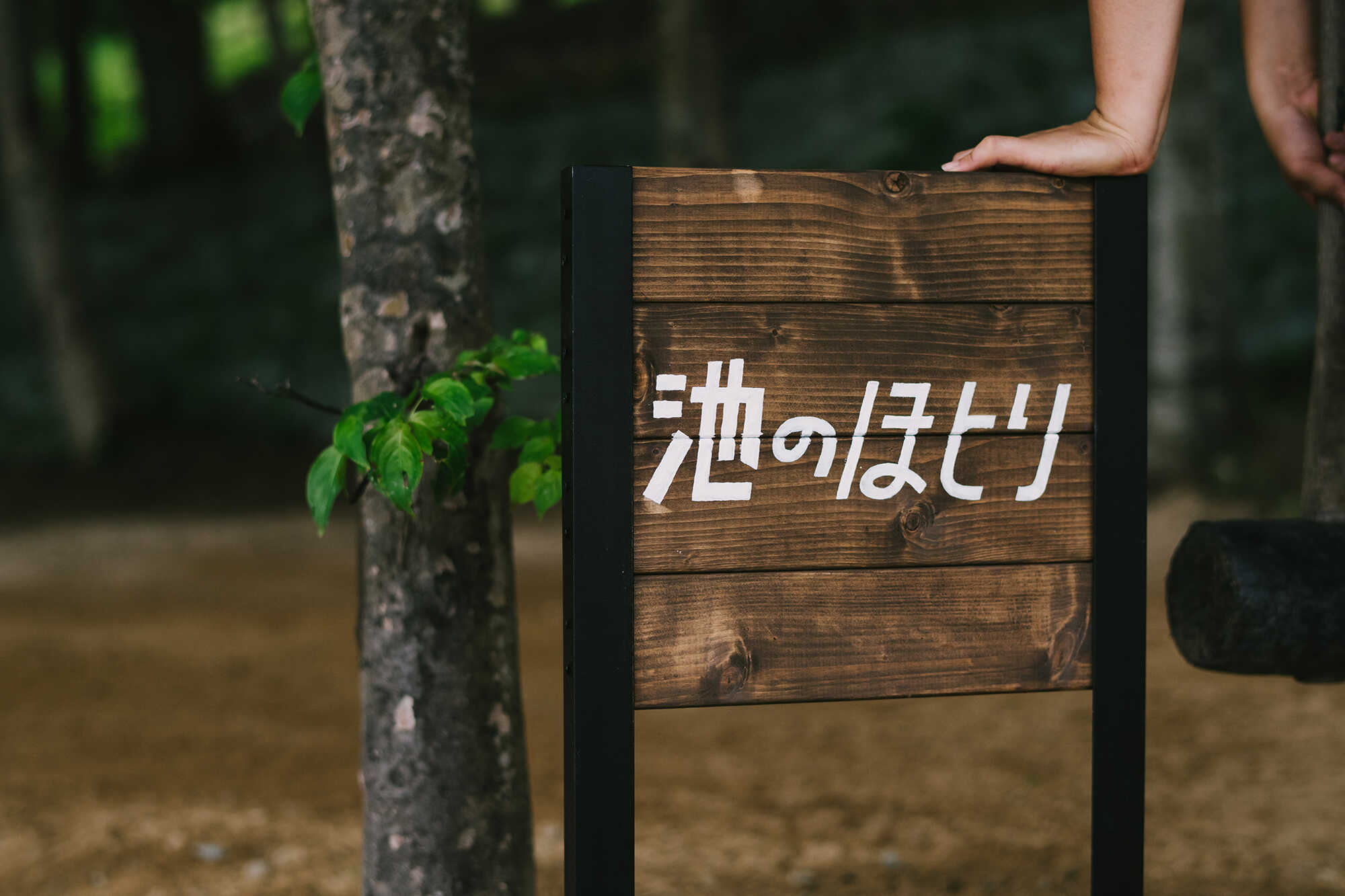 森とぼくの休日 HACHIKITA CAMP FIELDの写真 3枚目