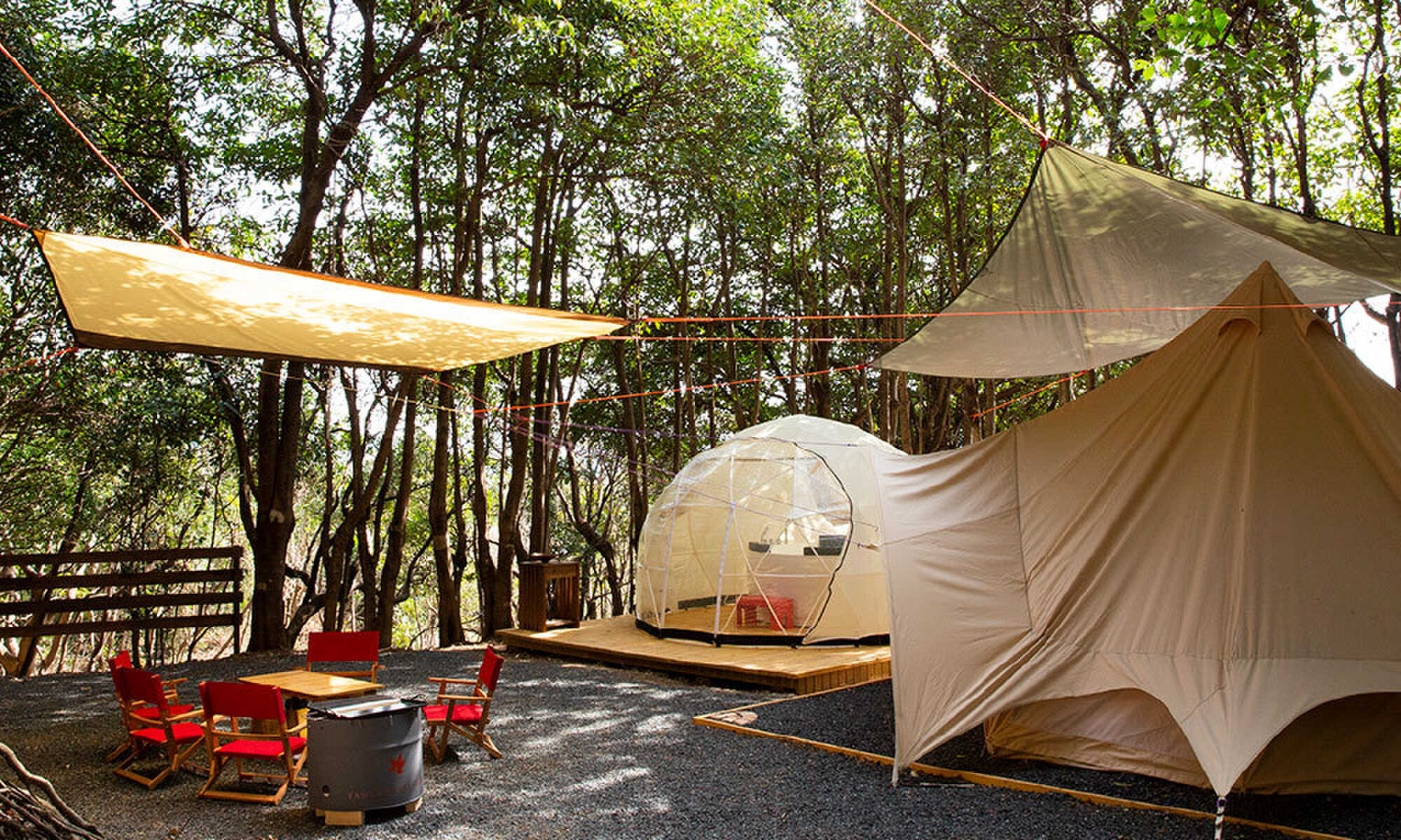 TASO FOREST CAMPの写真 1枚目