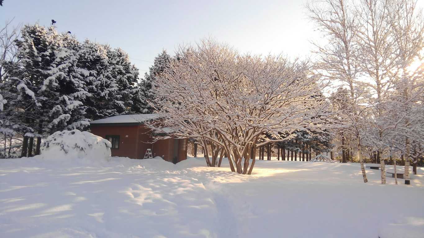 黒松内ぶなの森自然学校 photo 5