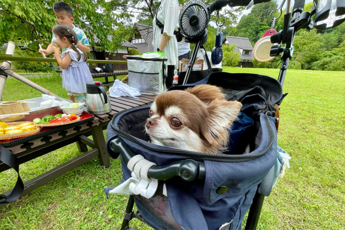 まつたけ小屋 梅松苑の写真 2枚目