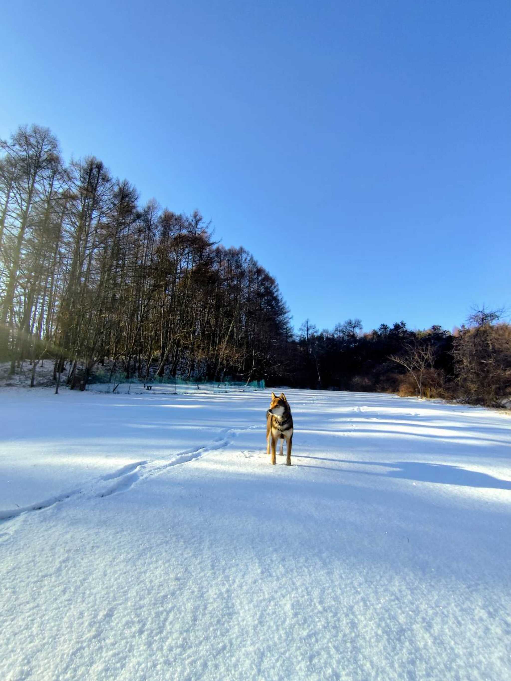 望月キャンプサイト野ららの写真 3枚目