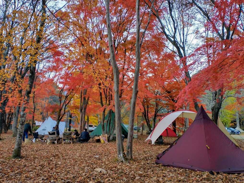 秋のキャンプ場の様子(11月ごろ)