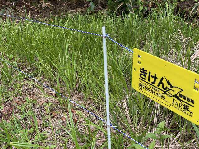 害獣対策の電線をキャンプ場周囲に貼っております。