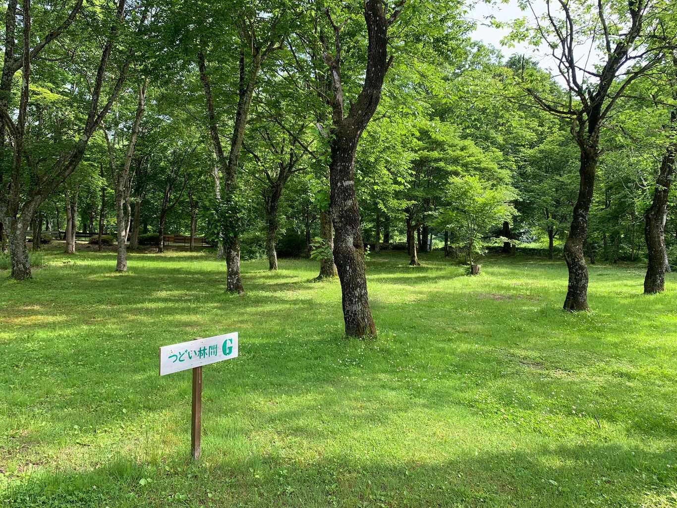 ちばむらオートキャンパーズリゾート photo 5