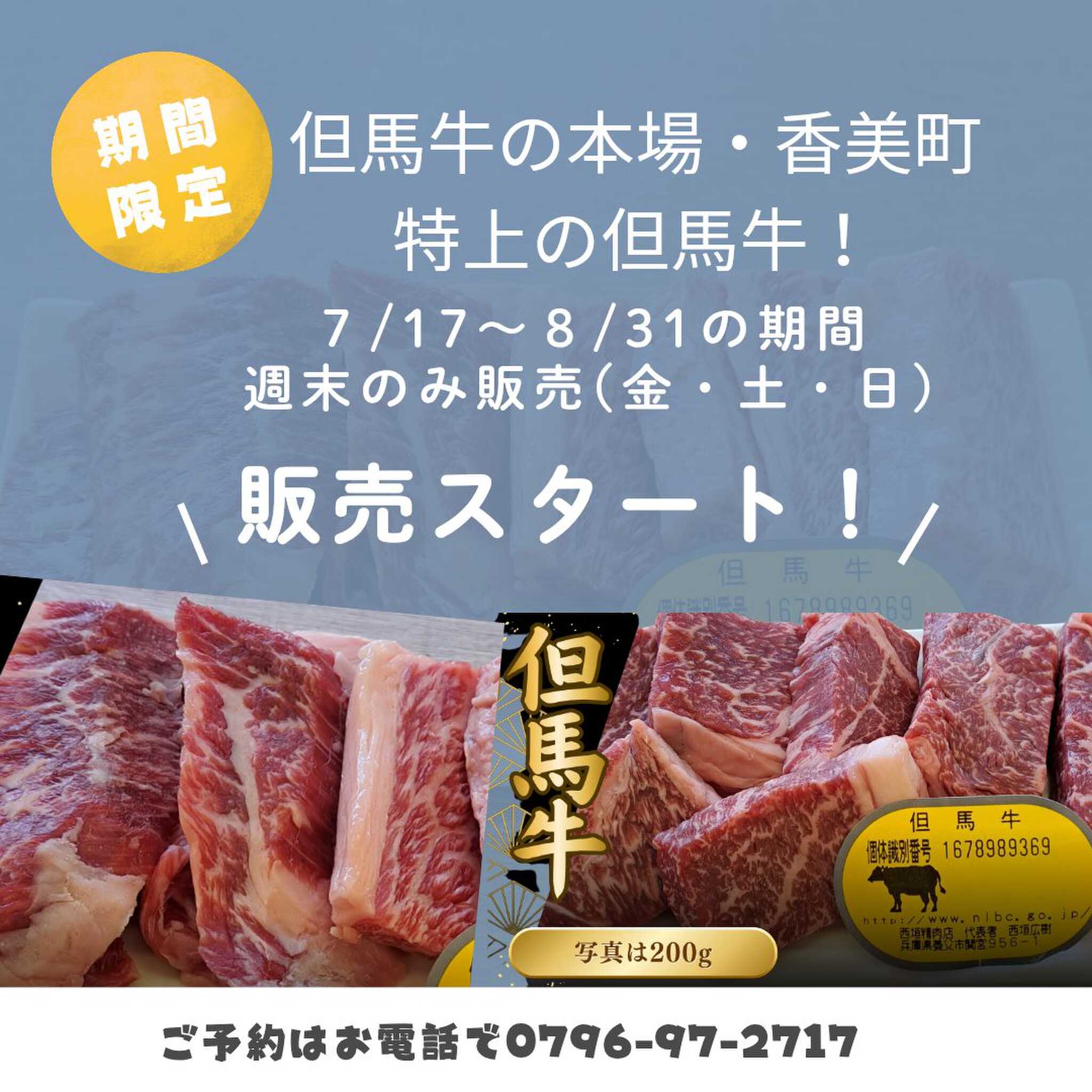 スタッフ