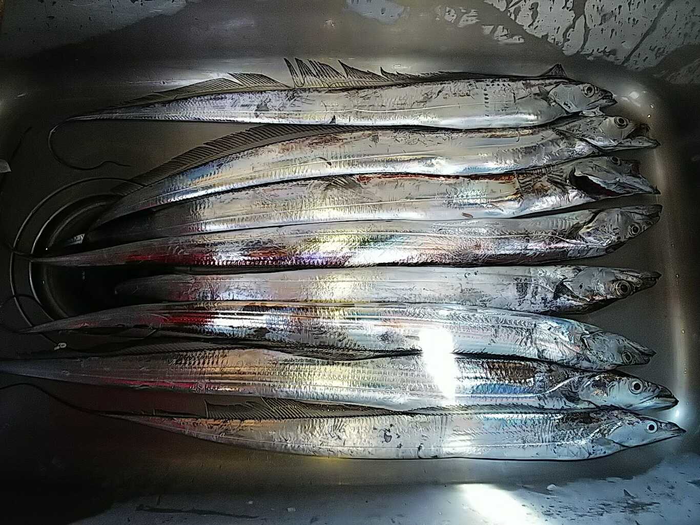 海の隠れ家 photo 4