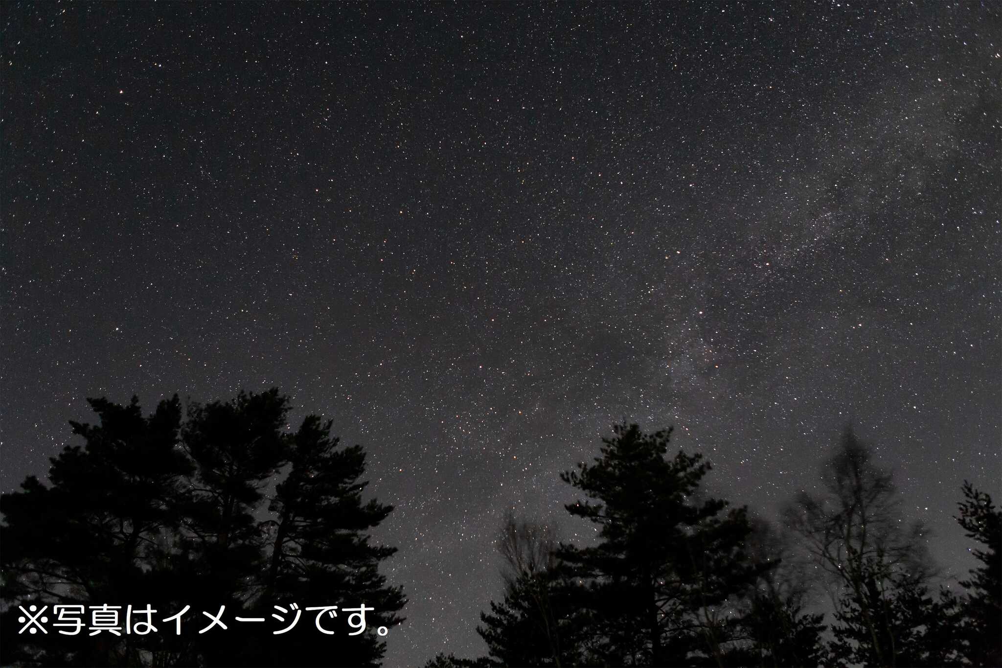 四国吉野川オートキャンプ場の写真 1枚目