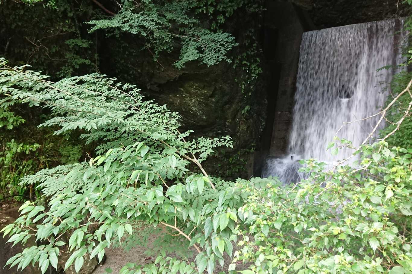 四国吉野川オートキャンプ場 photo 3