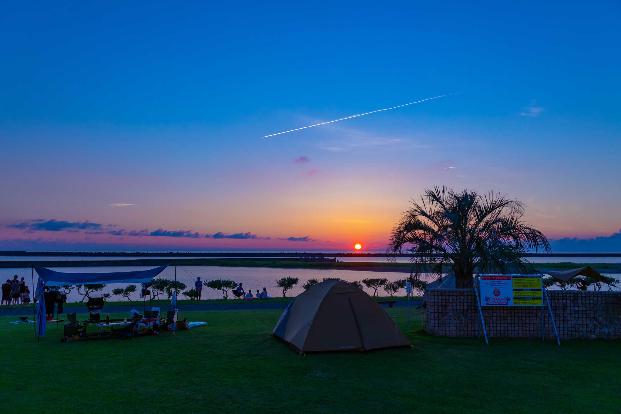 日本海側では珍しいココスヤシを眺めながら夕日が楽しめます