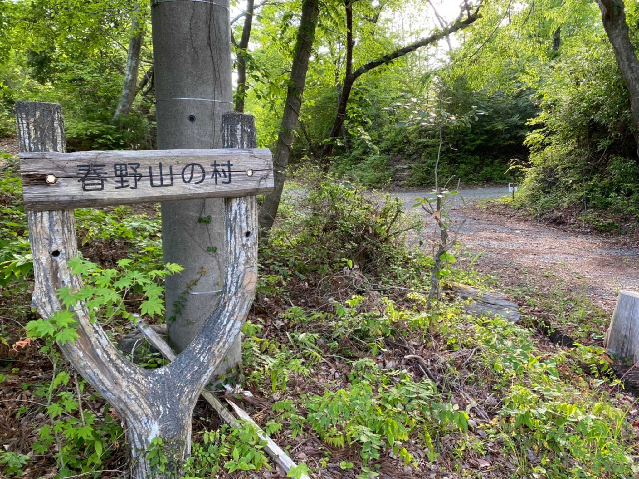 はるの山の村の写真 5枚目