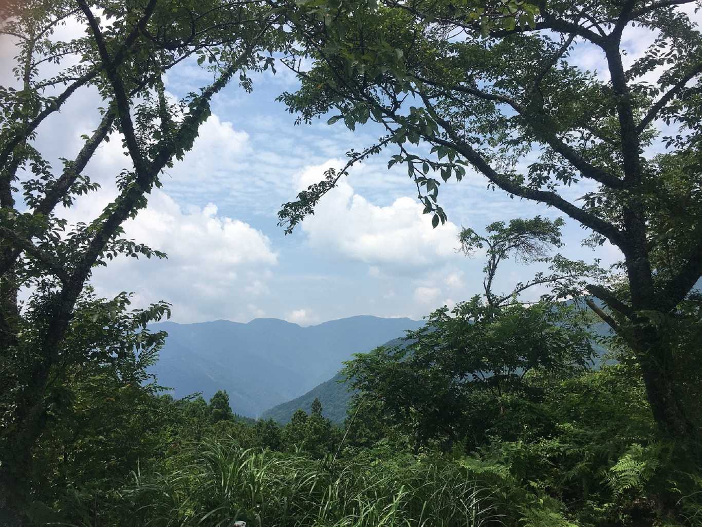 はるの山の村 photo 3