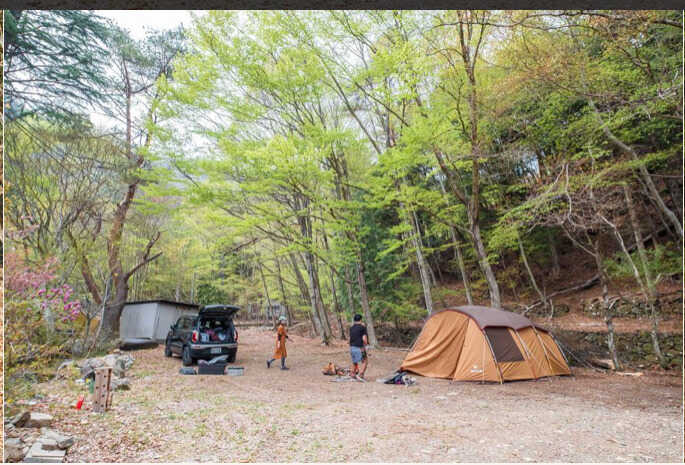 Back Yard Campの写真 2枚目