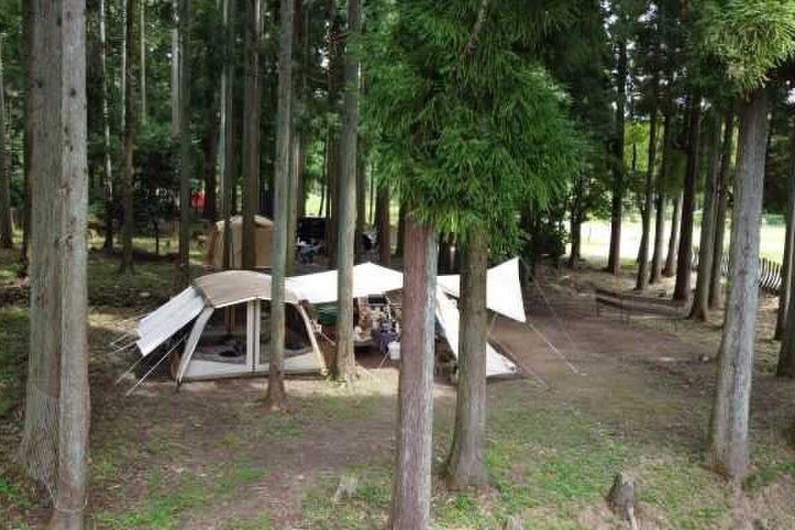 デルフリキャンプ いつまでたっても完成しない里山のキャンプ場の写真 4枚目