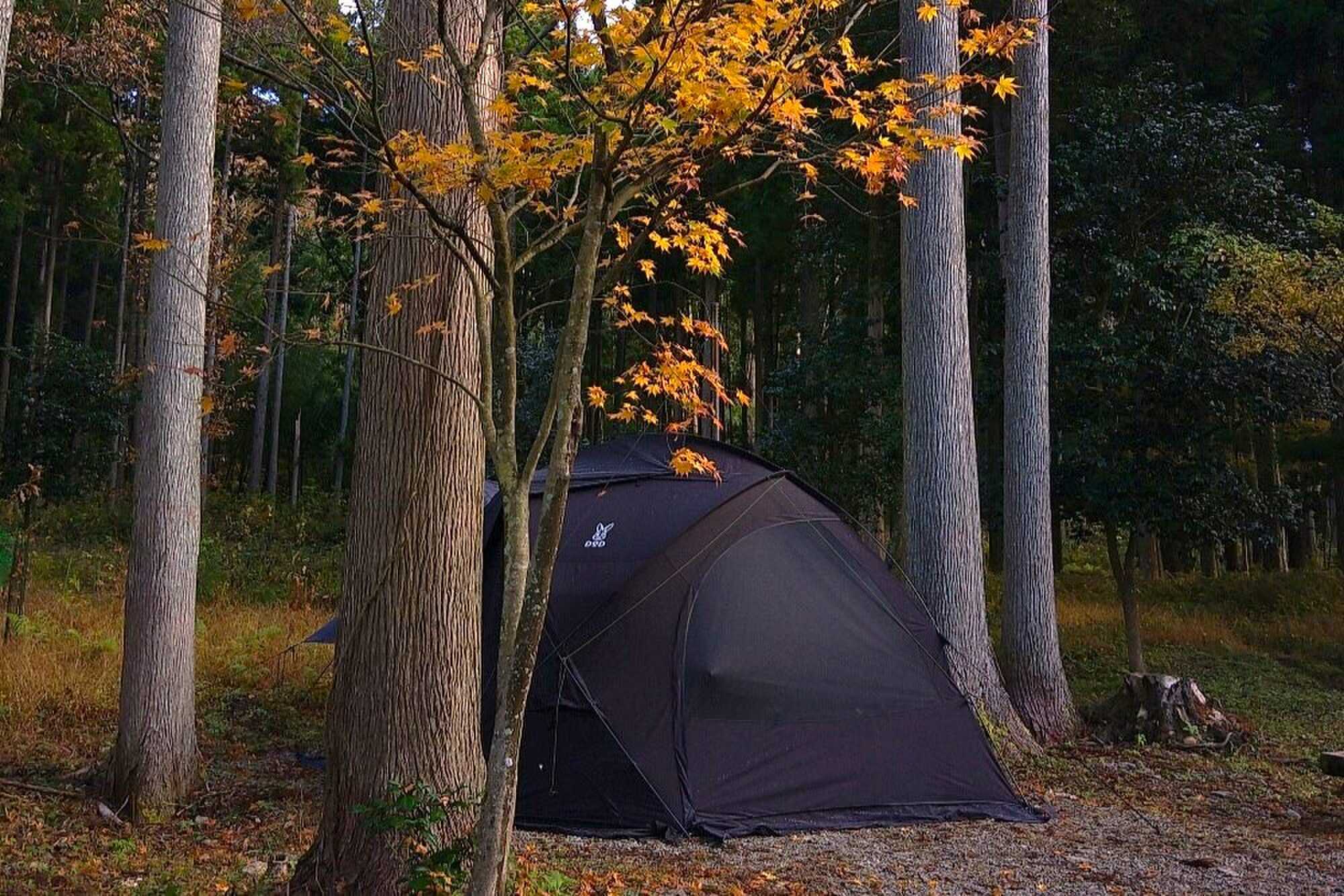 デルフリキャンプ いつまでたっても完成しない里山のキャンプ場の写真 3枚目