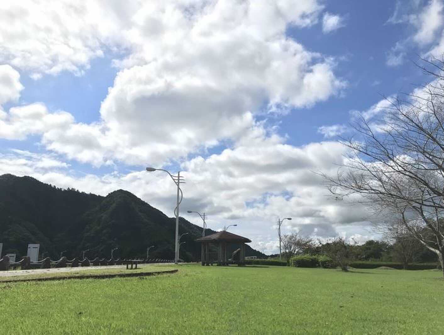 芝生が気持ちいいキャンプサイトです01
