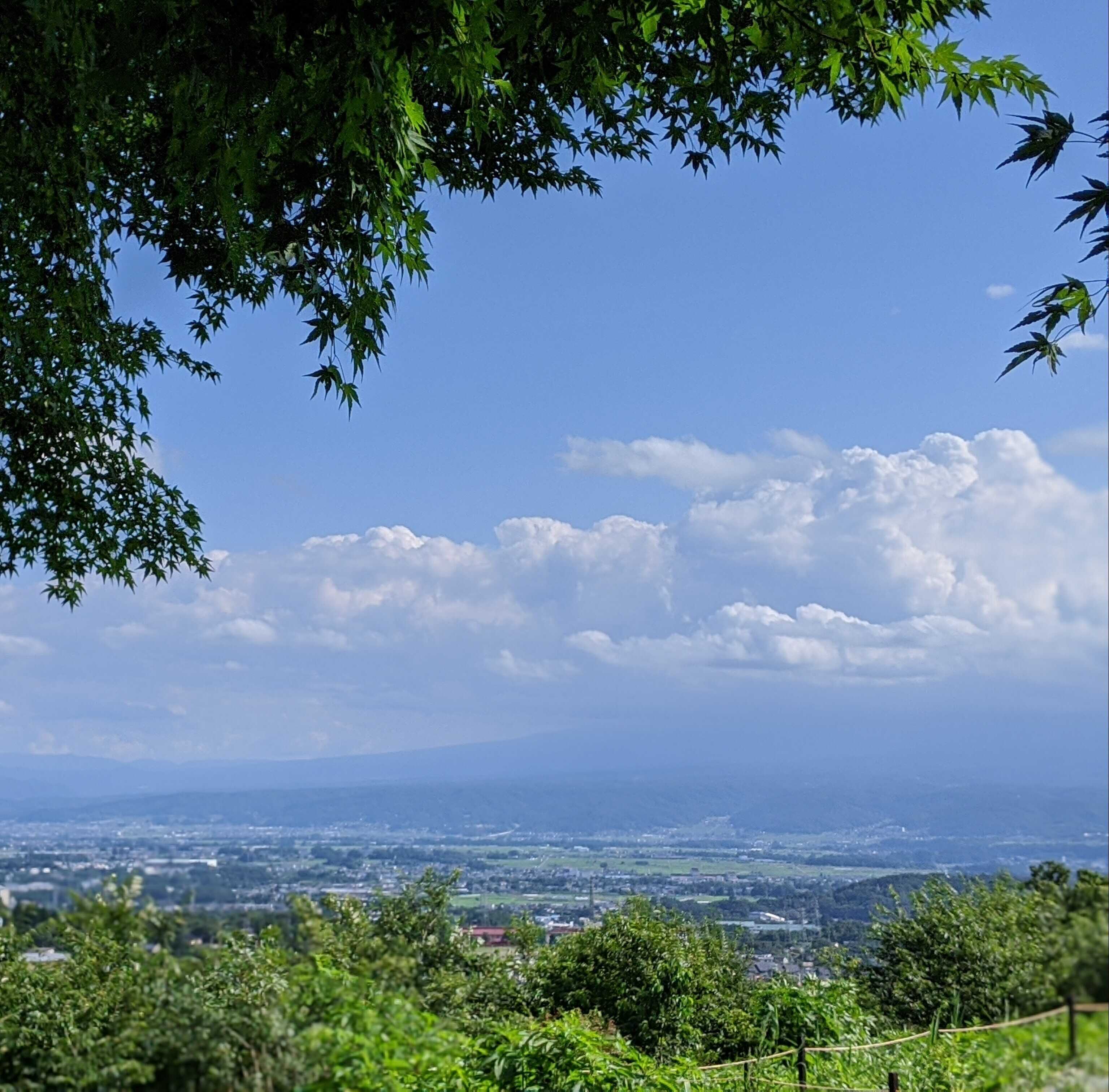 ウィスラースカイベース小諸の写真 4枚目