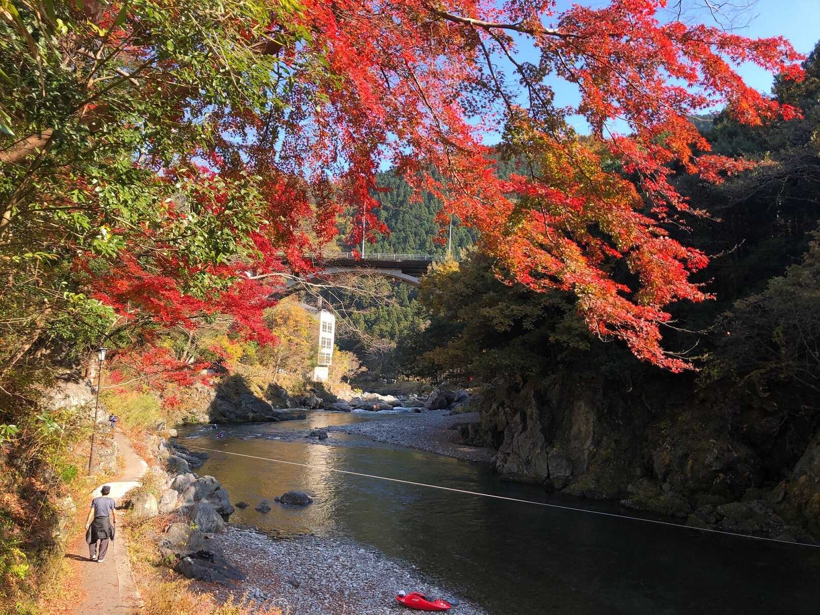 御岳プライベートキャンプの写真 2枚目