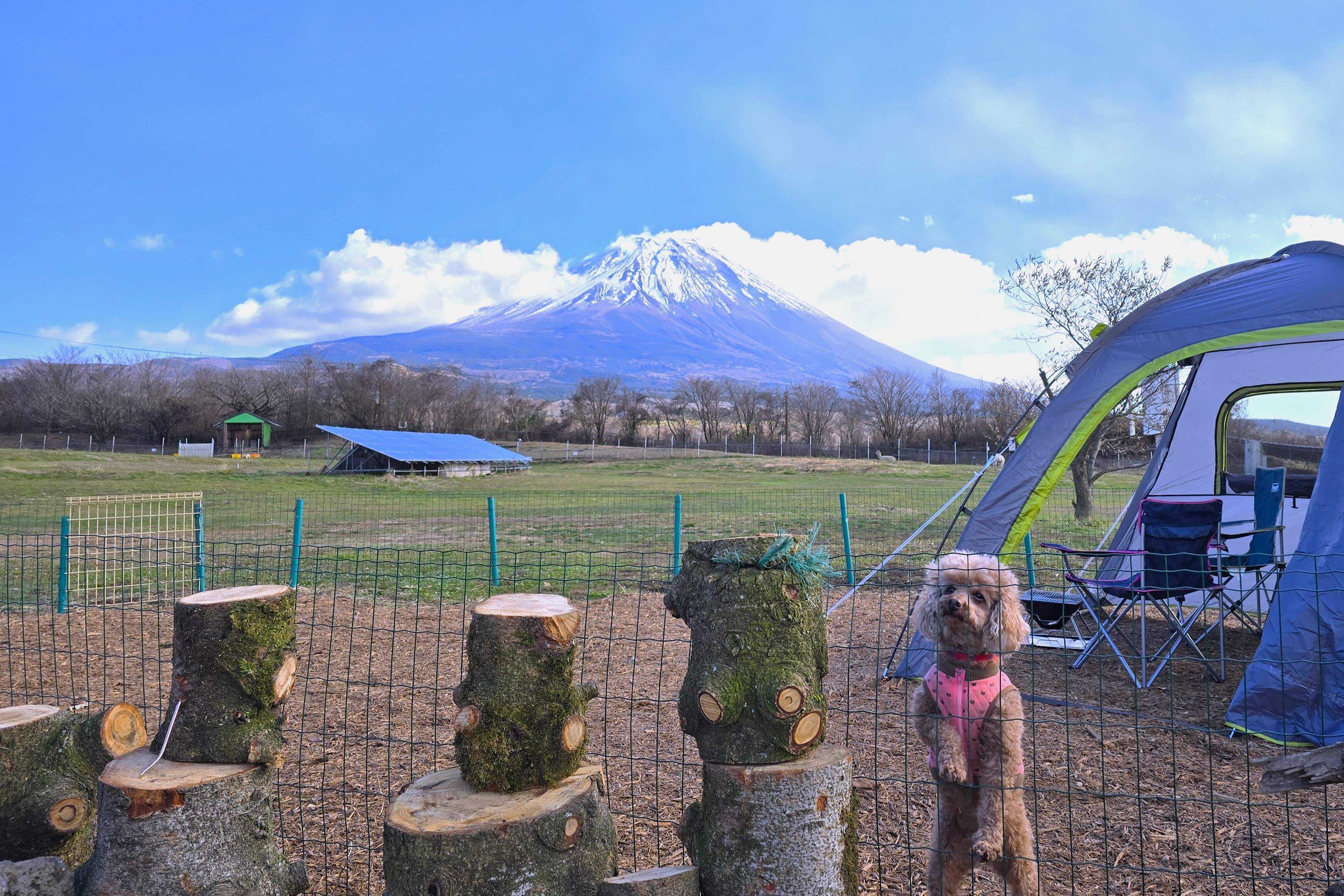 富士エコパークビレッヂ 富士エコキャンプ場の写真 4枚目