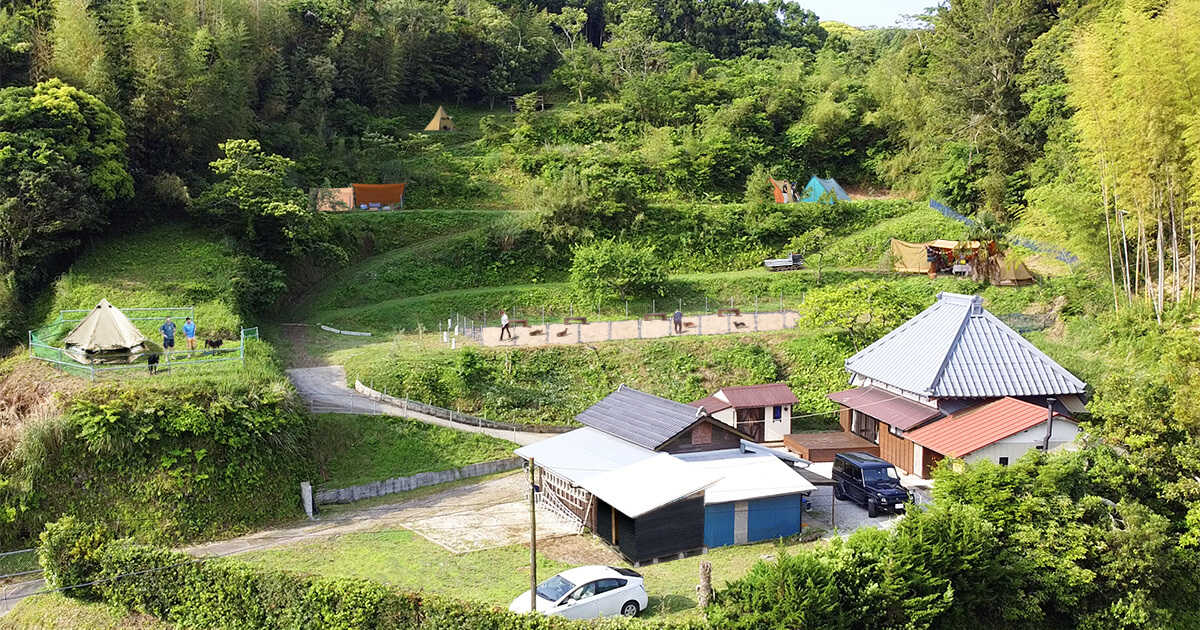 Out Tail Dog Camp 館山