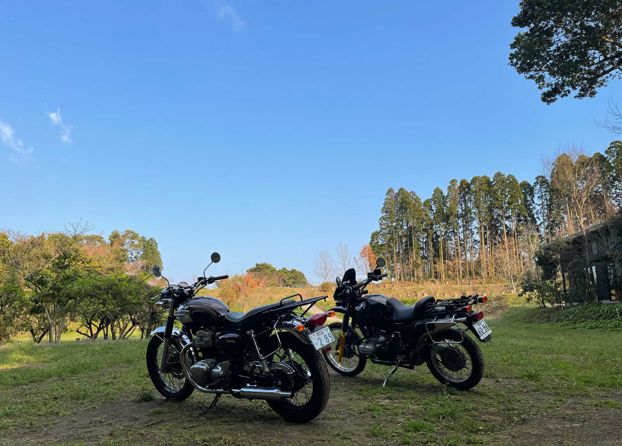 いぶすき焚き火の森ソロキャンプ場