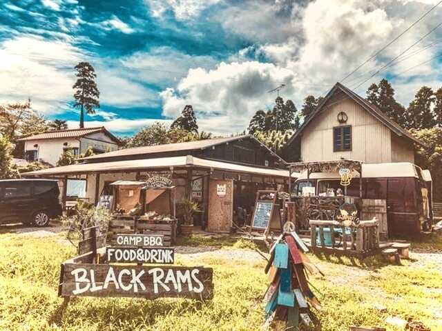BLACK RAMS