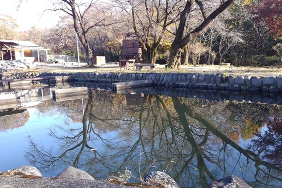 赤城アウトドアベースの写真 4枚目