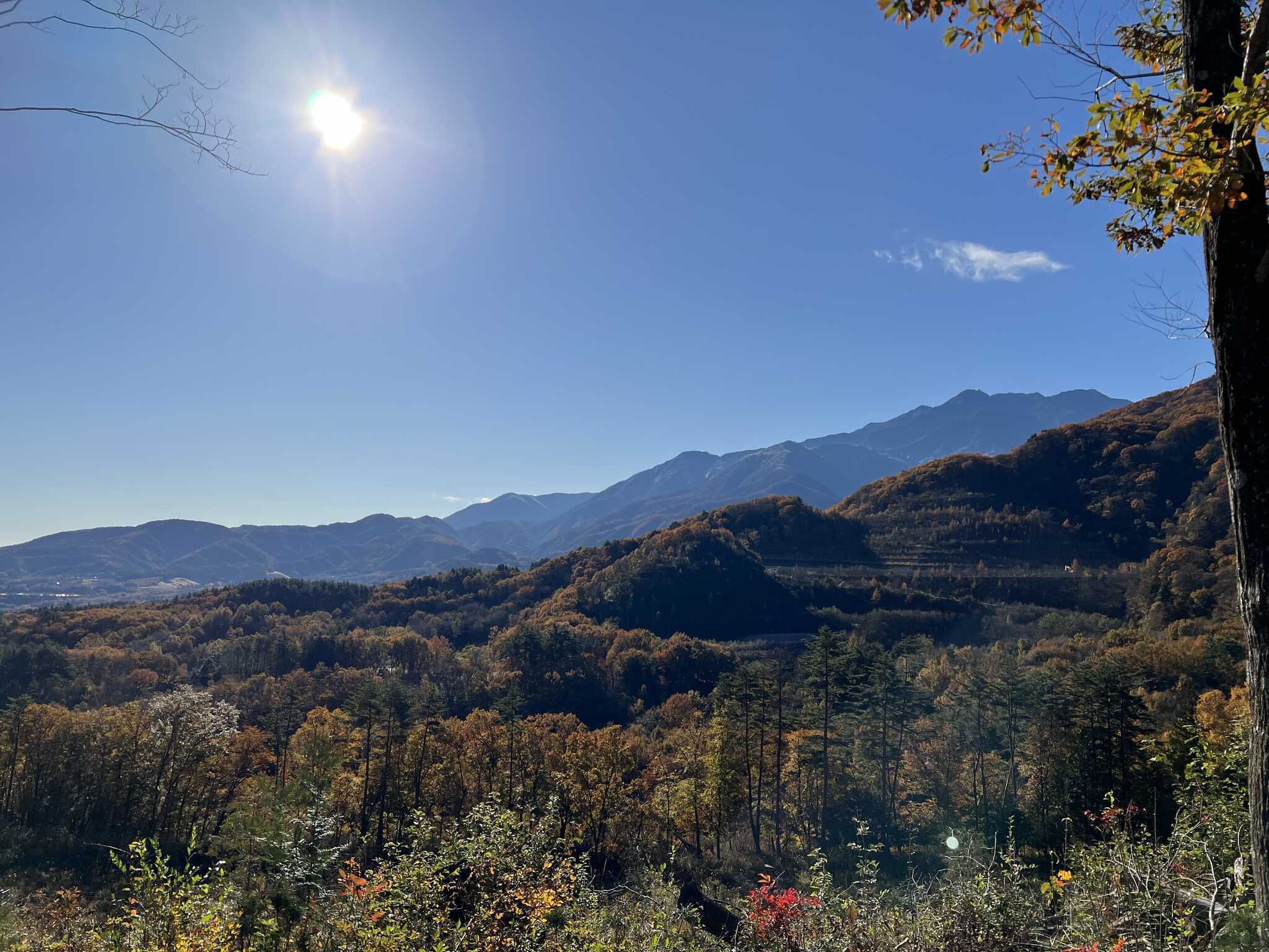 山梨・白州 FLAMME日向山オートキャンプサイトの写真 3枚目