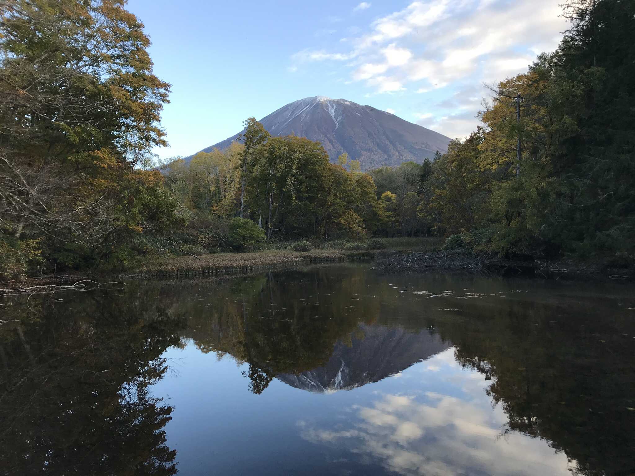 冒険家族のお父さん