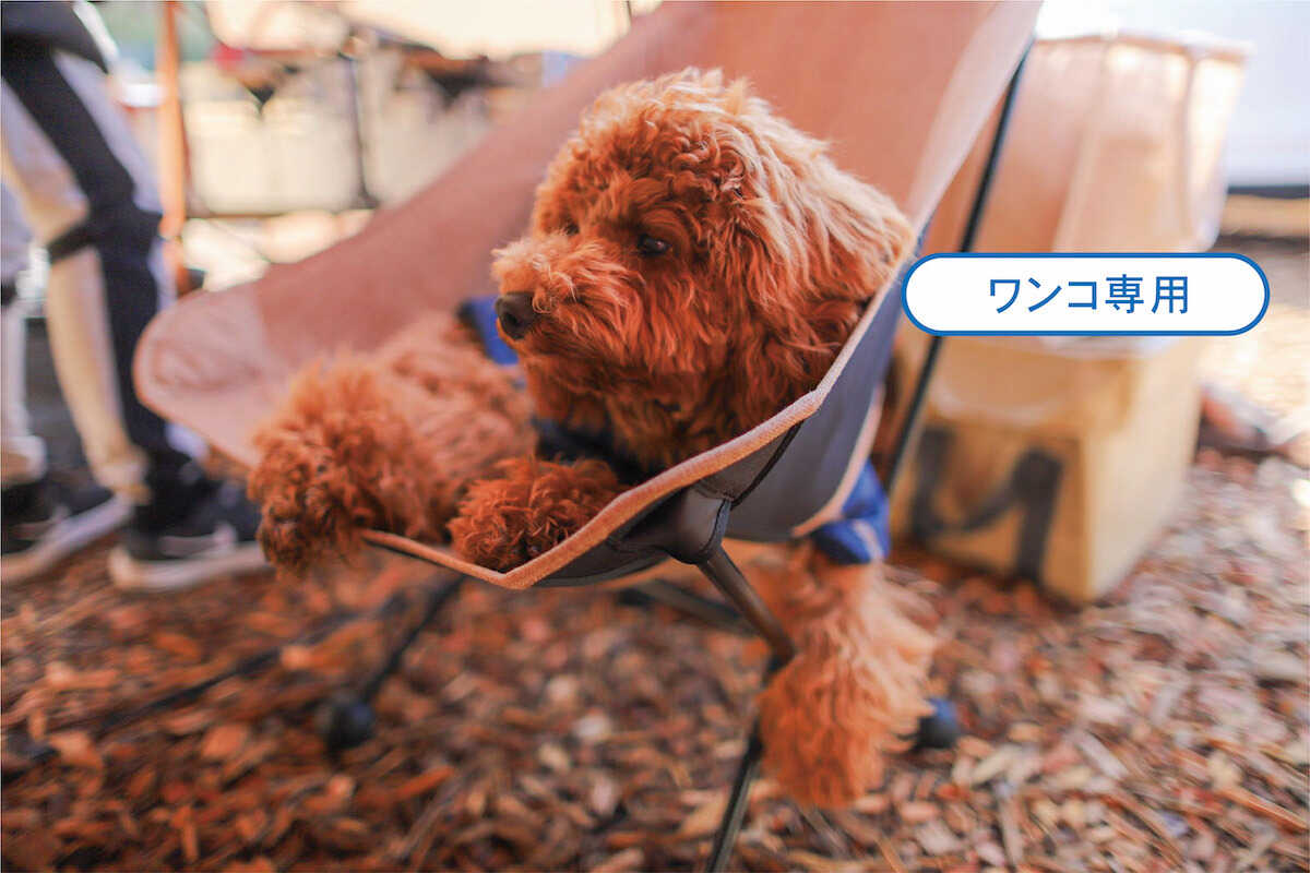 THE DOG DEPT GARDEN RESORT-安房白浜-