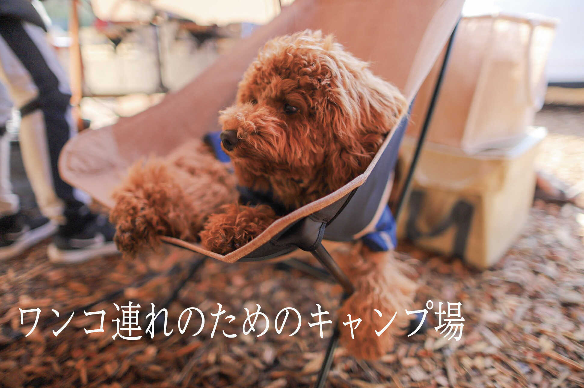 THE DOG DEPT GARDEN RESORT-安房白浜-