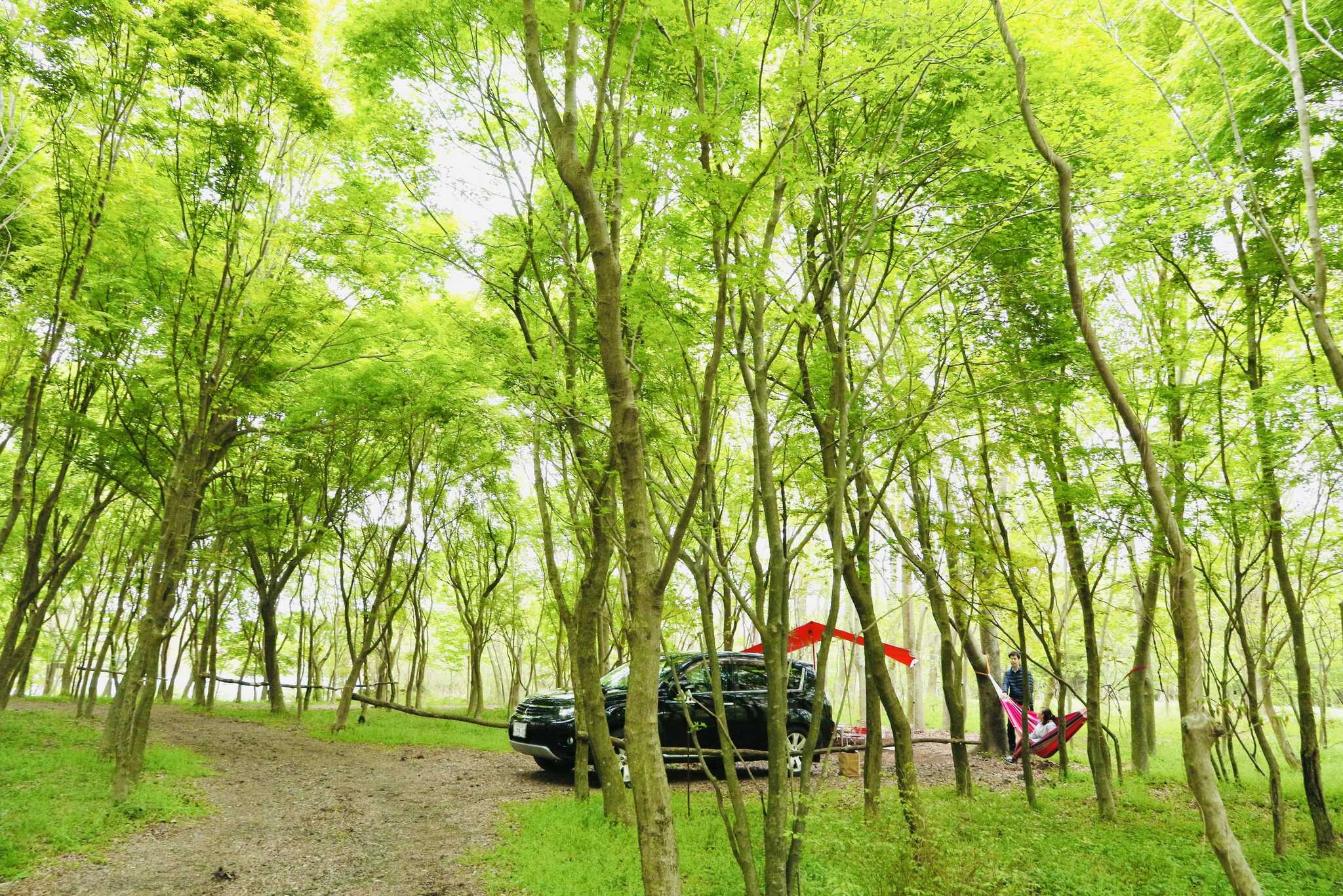 朝霧高原 英知の杜キャンプ場の写真 2枚目