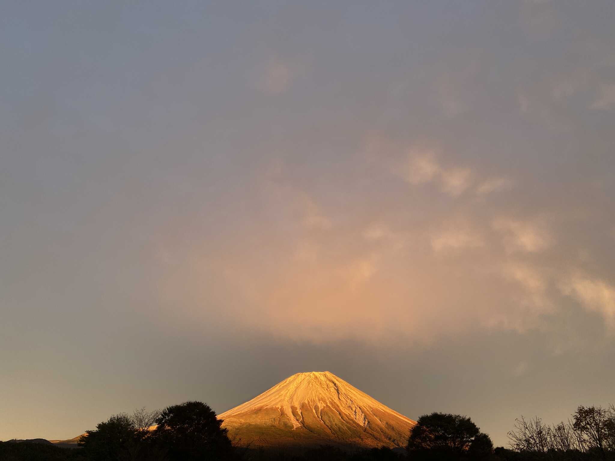 朝霧高原 英知の杜キャンプ場の写真 5枚目