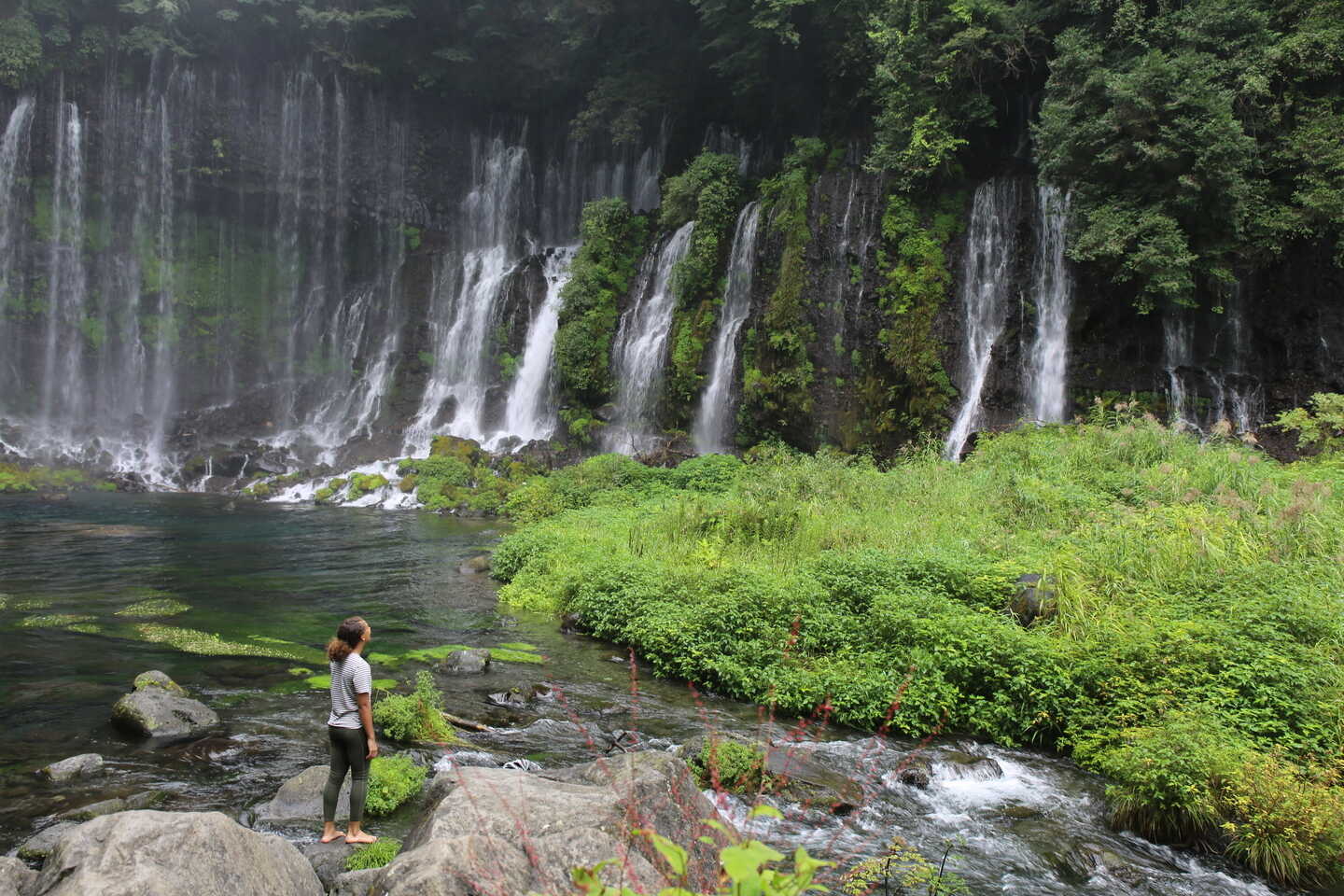 Mt. FUJI SATOYAMA VACATION (マウントフジ里山バケーション)の写真 5枚目