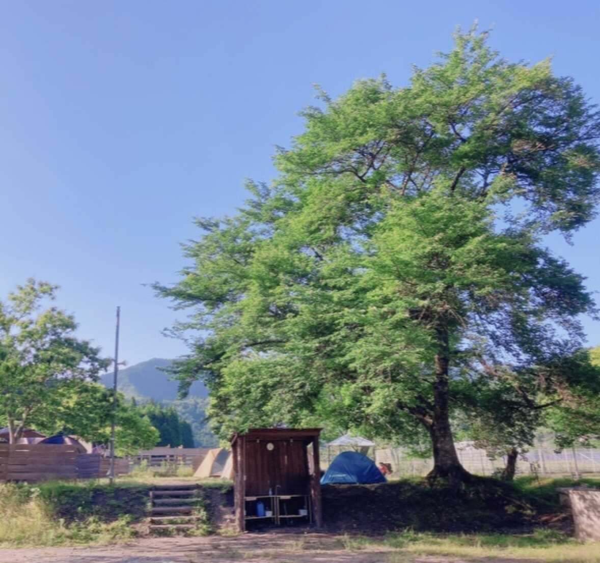 Forest Garden 美山