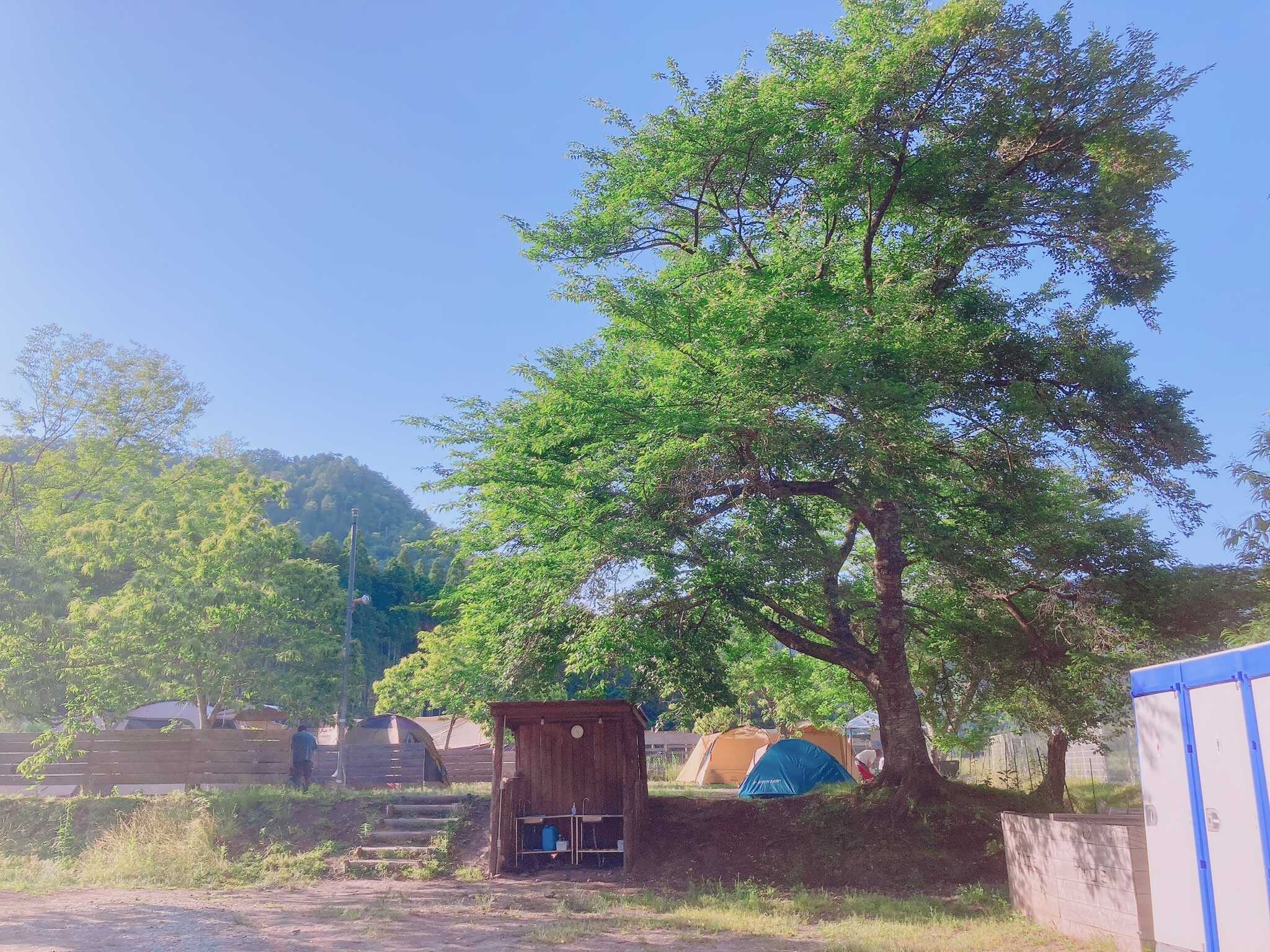 Forest Garden 美山の写真 1枚目